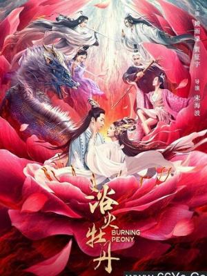 山海归途
